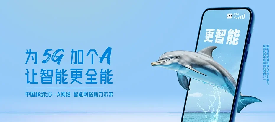 平坝平坝区羊昌布依族苗族乡 移动宽带